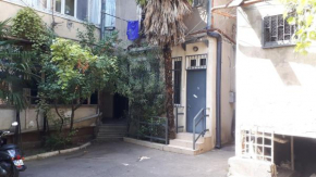 Palma, Tbilisi